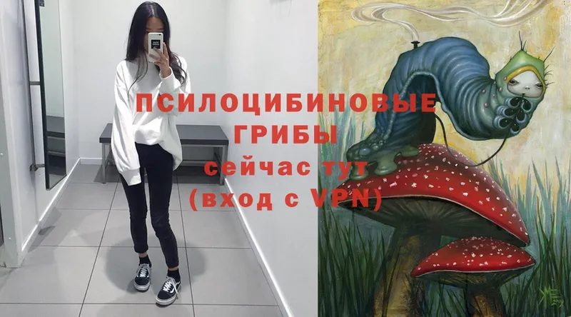 Галлюциногенные грибы Psilocybe  MEGA сайт  Геленджик 