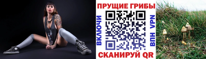 Галлюциногенные грибы ЛСД  хочу наркоту  площадка телеграм  Геленджик 