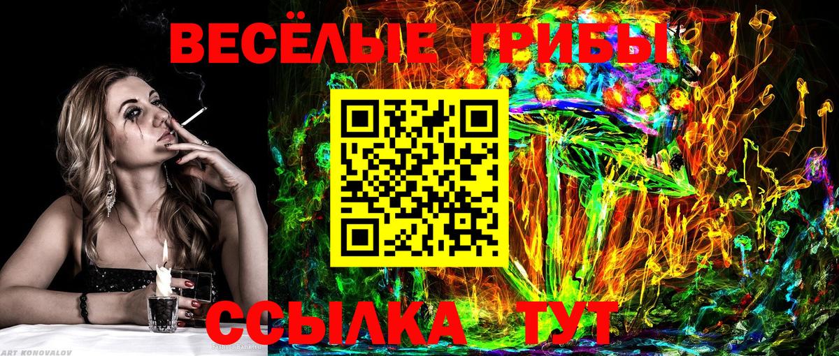 Геленджик  Галлюциногенные грибы прущие грибы  Вход с VPN 