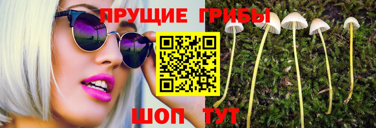 Галлюциногенные грибы GOLDEN TEACHER Геленджик