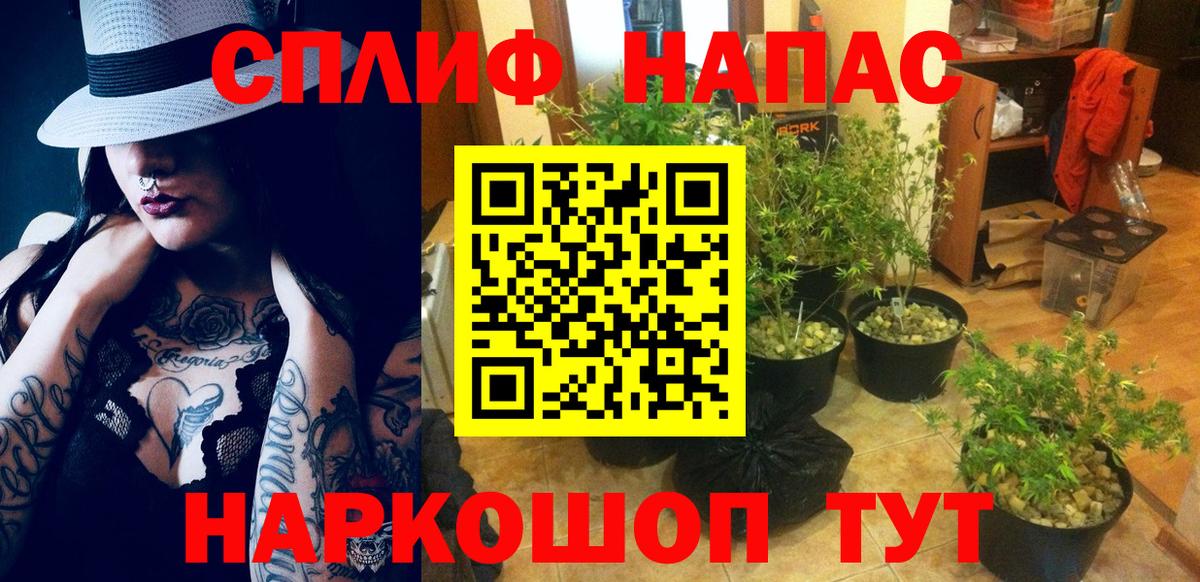 Каннабис марихуана Геленджик